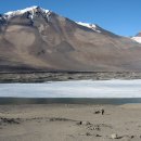 드라이37 이미지