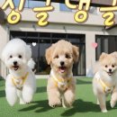 팽성유치원 이미지