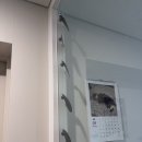 IBK 참좋은어린이집 | 서울숲 나들이, FC서울꿈나무, 계류관, 패밀리데이, IBK참좋은어린이집 체육대회