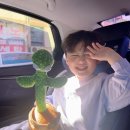 (주)이월드 피터팬오락실 | 아기랑 대구 이월드