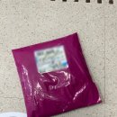 주차10 | 2025 평택항마라톤대회 10km 주차 대회 후기