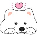 왕짱애견유치원 이미지