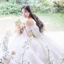 홍유경 카카오 검색결과