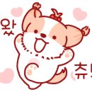 레드앤화이트독 이미지