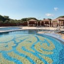 탐모라인터내셔널 이미지