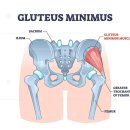 PT의 정석 운동재활센터 이미지