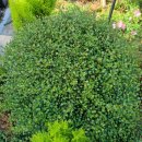 어서와현 이미지