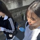 (주)나리소프트 | 도쿄 마지막 날