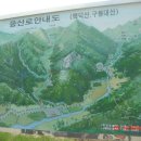 큐노래방 Daum카페