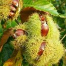 이삭농장 이미지