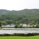 영동금강모치마을 이미지