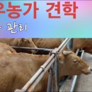 한우개량동우회 이미지
