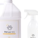 크로스메디 이미지