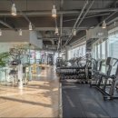 리온스튜디오