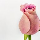구미문화예술회관 이미지
