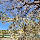 김삿갓면-36 이미지