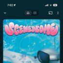 벨리스