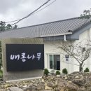 배롱나무 독채스테이 이미지