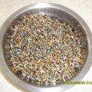 돌게민박 이미지