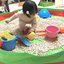 (주)놀던스파이 | 키카안가도 즐거운 우리집키카오픈 편백큐브대여 내돈내산 솔직후기