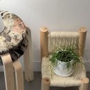 카페시로 이미지