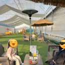 동기농장 | 오고 비 오고 추워도 걱정 없는 서울 근교 아이랑 갈만한 딸기 따기 체험 농장 내돈내산 후기 + 체험 영상