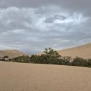 오아시스 | 페루 리마 근교 (와카치나) - 버기투어 사막투어 오아시스 후기