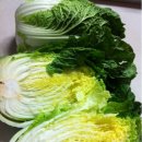 창희네 농장 Daum카페
