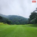 세컨더블비 이미지