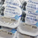 케어플러스 | 듀먼케어플러스 강아지화식 후기｜눈·관절·피부 한끼 케어