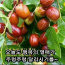 "시산회 419회 '서울대공원둘레길' 산행기"＜2021.10.09(토)＞ 이미지