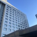 호텔 메종 | 메종글래드 제주 공항근처 가성비 호텔 후기 (삼다정 조식 수영장 정보)