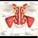 이강한의원 이미지
