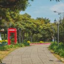 제주허브동산 이미지