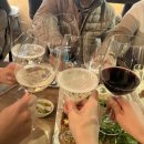 연미어죽 | [일상] 몰아쓰는 23년 1-2월의 일상