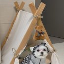 트리밍153 이미지