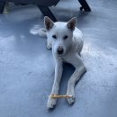 신촌마을 이미지