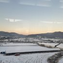 금오약국 | [서울역 차병원 난임센터] 사실혼 부부 인공수정 skip하고 시험관 시작하기 (황유임교수님) 시험관 1...