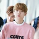 백현다리길 Daum카페