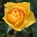 둔촌대로 425번길 이미지