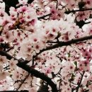 사랑채공인중개사사무소 이미지