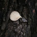 느타리공원 이미지