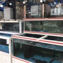 중동청과 이미지