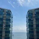 와이컬렉션 by UH FLAT 해운대비치 | 부산 해운대 내돈내산 숙소추천 오션뷰 와이컬렉션 by UH FLAT 해운대비치 3인호텔