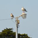 하리마을회관 이미지