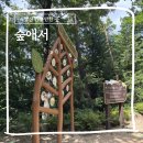 경남 양산 가볼만한곳 힐링하러 다녀온 산림치유 프로그램 숲애서