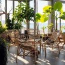 애월마실 이미지