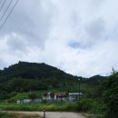 김종호농장 이미지