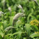 우천어린이집 이미지