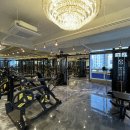 바디 디자인 이미지